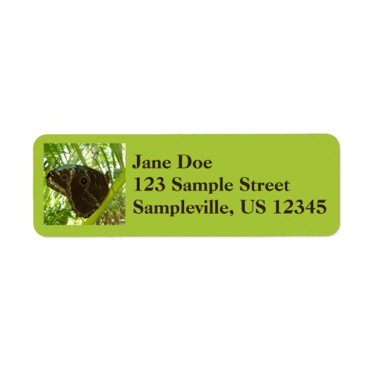 ブルーモーフォバタフライ自然撮影 ラベル (正面)