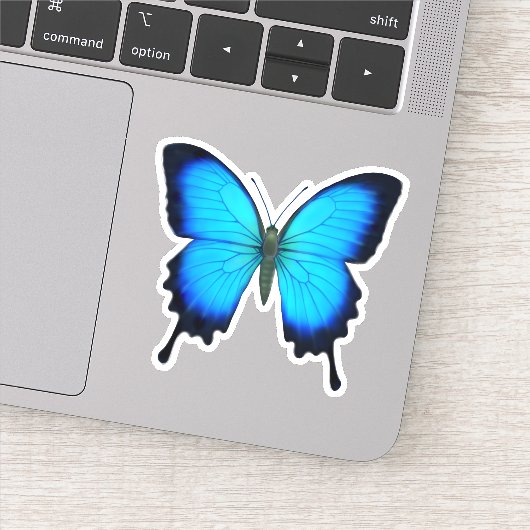 ブルーユリシーズアゲハチョウバタフライコンターシール シール (詳細)