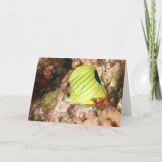 ブルーライニング蝶 カード