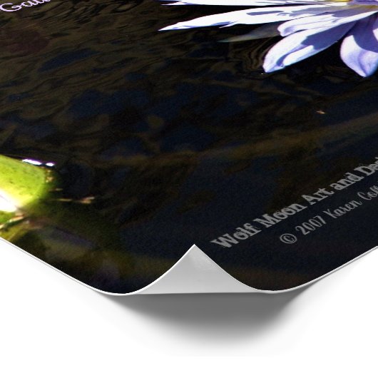 ブルーラベンダーイエローセンターウォーターリリーフラワー ポスター (角)