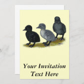 ブルーランナーダクリング 招待状 (正面/裏面)