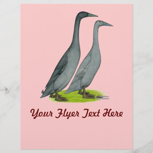 ブルーランナーダックス チラシ (正面)