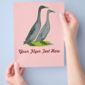 ブルーランナーダックス チラシ (手)