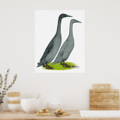 ブルーランナーダックス ポスター (キッチン)