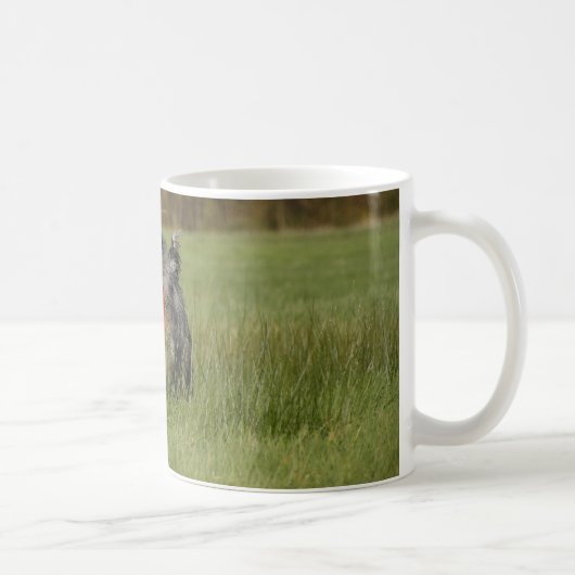 ブルーランニングメルルオーストラリアw玩具 コーヒーマグカップ (右)