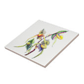 ブルーラン絵画ス タイル (側面)