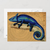 ブルーリザード ポストカード (正面/裏面)