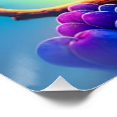 ブルーリス食べレルの果物のA-323232 ポスター (コーナー)