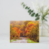 ブルーリッジパーウェイ ポストカード (スタンド正面)