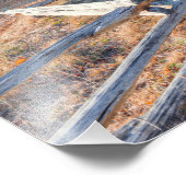 ブルーリッジパークウェイアンド祖父マウンテン フォトプリント            (角)