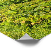 ブルーリッジパークウェイクラウド ポスター (角)