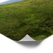 ブルーリッジパークウェイ(NC)から見たブルーリッジムッツ ポスター (角)