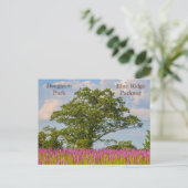 ブルーリッジパークオンザブルーリッジパークウェイ ポストカード (スタンド正面)