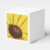 ブルーリッジブラックアイドスーザン フェイバーボックス (正面サイド)