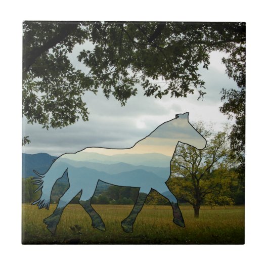 ブルーリッジホース タイル (正面)