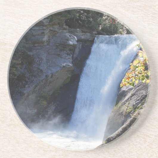 ブルーリッジマウンテンウォーターフォールコースター コースター (正面)