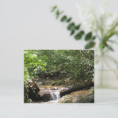 ブルーリッジマウンテンクリーク ポストカード (スタンド正面)