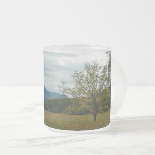 ブルーリッジマウンテンズマグ フロストグラスマグカップ (正面右)