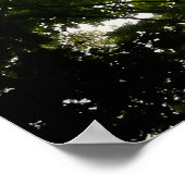 ブルーリッジ山脈の木の頂上 ポスター (角)