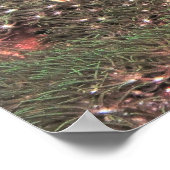 ブルーリップアンジェルフィッシュ ポスター (角)