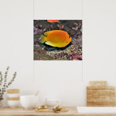 ブルーリップアンジェルフィッシュ ポスター (キッチン)