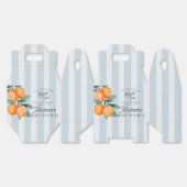 ブルーリトルかわいこちゃんシトラスバースデーパーティー フェイバーボックス (見開き)