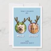 ブルーリネペット2フォトペットクリスマスホリデーカード シーズンカード (正面)