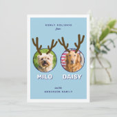 ブルーリネペット2フォトペットクリスマスホリデーカード シーズンカード (スタンド正面)