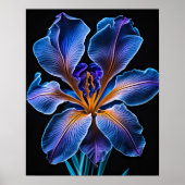 ブルーリリー ポスター (正面)