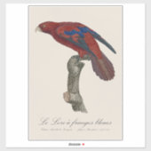 ブルーリングロリ シール (シート)