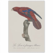 ブルーリングロリ シール (正面)