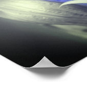 ブルーリンドウ花黒白の部分色 ポスター (角)