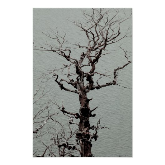 ブルーレイクのダークツイスト風化した木 ポスター (正面)