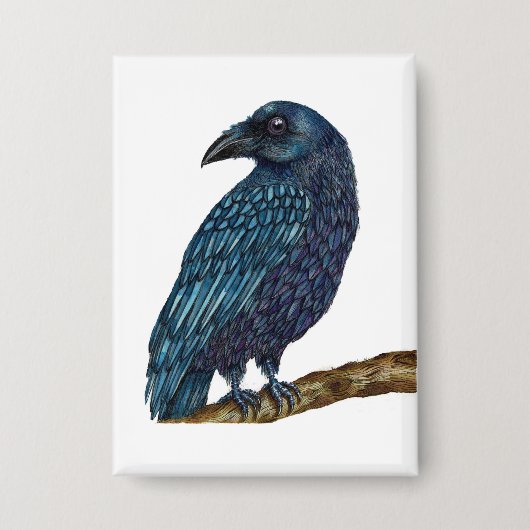 ブルーレイヴン鳥バッジ 缶バッジ (正面)