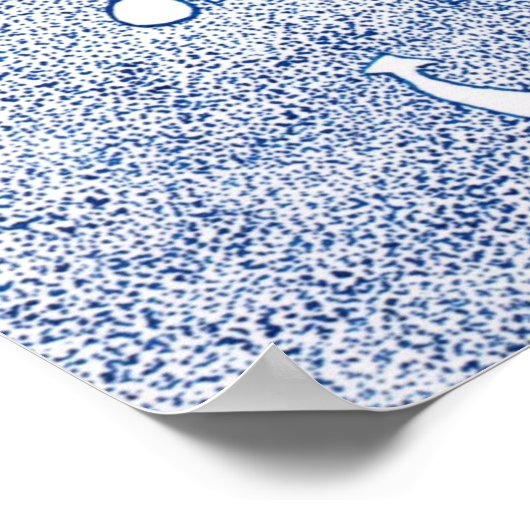 ブルーレディ ポスター (角)