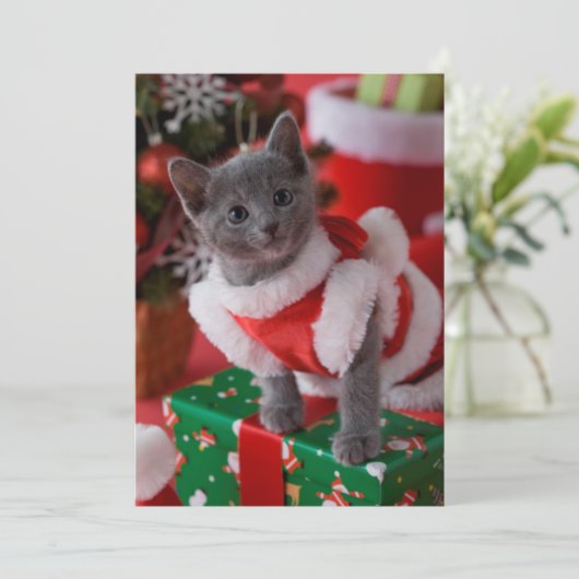 ブルーロシアのの子猫とクリスマス2 シーズンカード (スタンド正面)