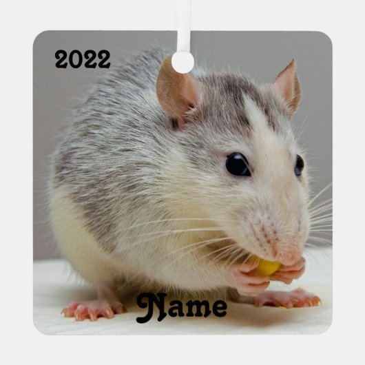 ブルーロパーソナライズされたアンペットラットセラミックオーナメント メタルオーナメント (裏面)