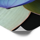 ブルーロータスフラワースピリチュアル ポスター (角)