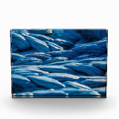 ブルーロープ フォトブロック (正面)