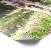 ブルーワイマラン ポスター (角)