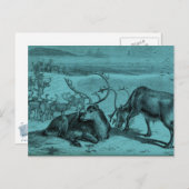ブルーヴィンテージトナカイイラストレーション ポストカード (正面/裏面)