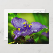 ブルー天国 ポストカード (正面/裏面)