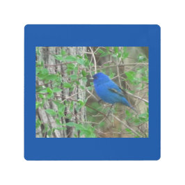 ブルー天国 メタルプリント