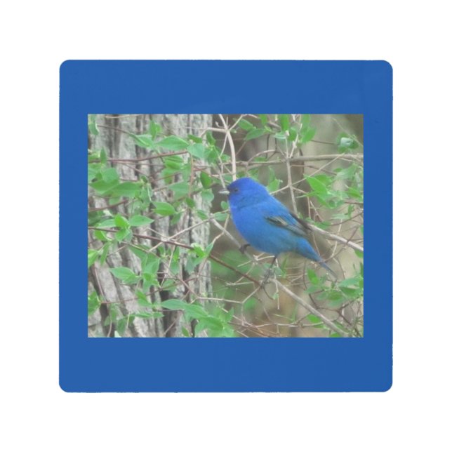 ブルー天国 メタルプリント (正面)