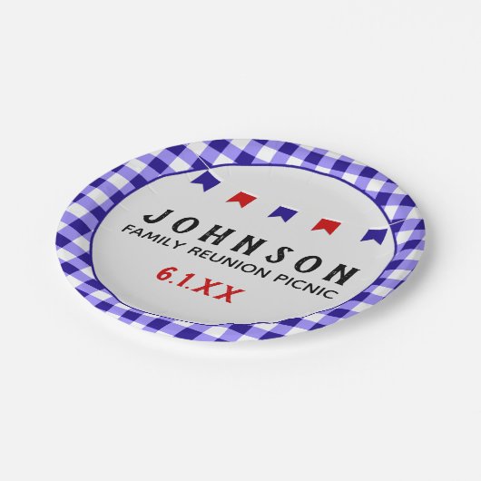 ブルー市松模様にタブレクロスサマーピクニック懇親会 ペーパープレート (アングル)