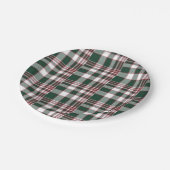 ブルー市松模様に紙プレート ペーパープレート (アングル)