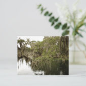 ブルー春州パークフォトポストカード ポストカード (スタンド正面)