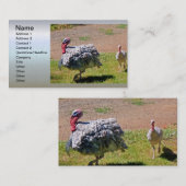 ブルー石板感謝祭デイトルコ 名刺 (正面/裏面)