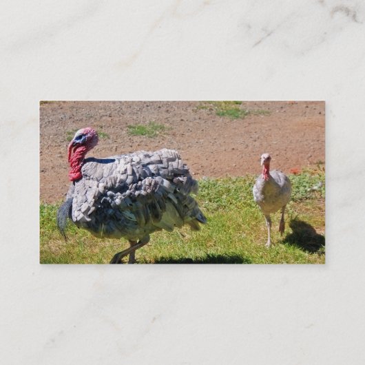 ブルー石板感謝祭デイトルコ 名刺 (裏面)