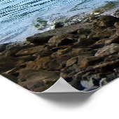 ブルー素晴らしヘロンが水中に立ち ポスター (角)